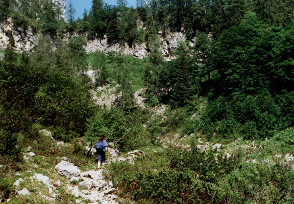 nad Krautgartenalm vede cesta pes kamenitou planinu